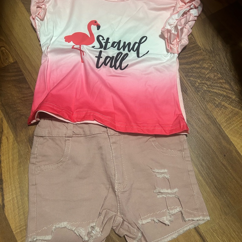 Girl Baby Flamingo Print Matching Set - Pink
